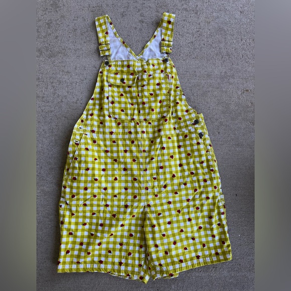 Duluth Trading Co womens wild card cotton canvas bibs overalls ladybug gingham - Picture 7 of 7